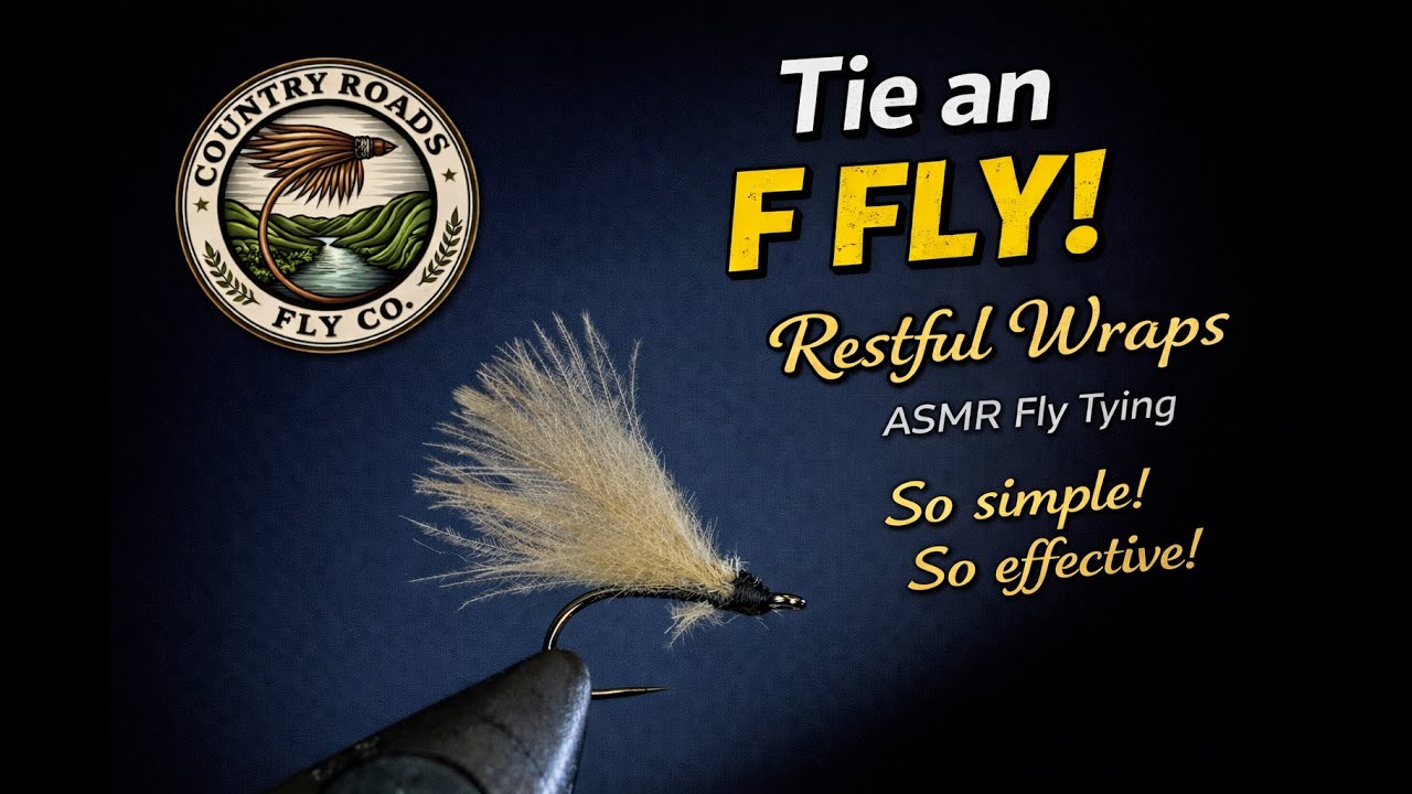 F Fly - Restful Wraps | ASMR Fly Tying | Country Roads Fly Company