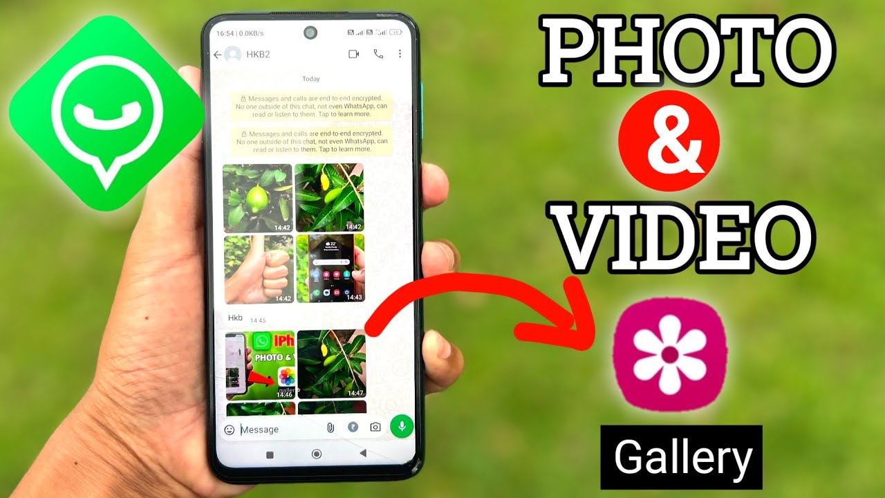 WhatsApp Photos & Videos Not Showing in Gallery 2024 | WhatsApp Photo Save to Gallery