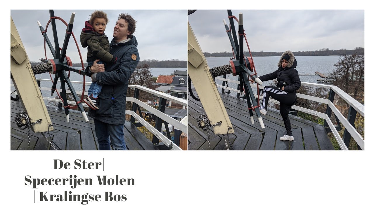 Things to do in Rotterdam| De Plasmolen| De Ster| Kralingen 2020