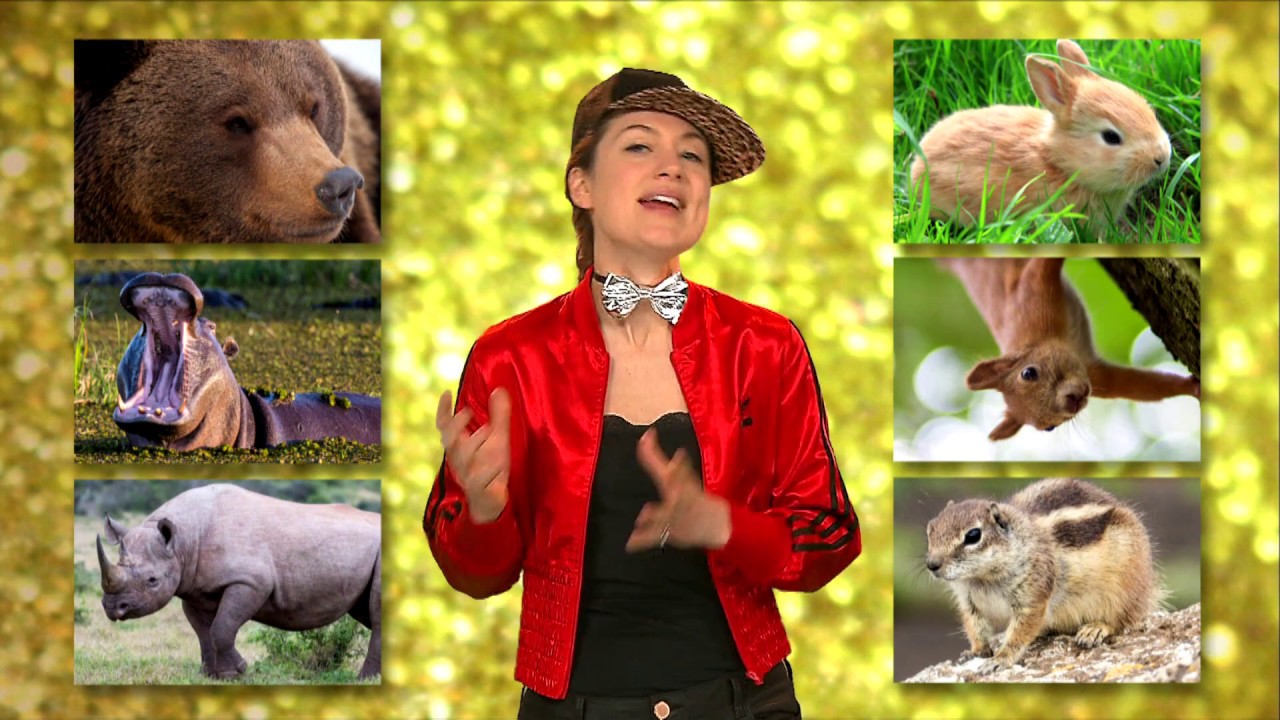 Waarom worden grote dieren ouder dan kleine dieren? | Het Klokhuis
