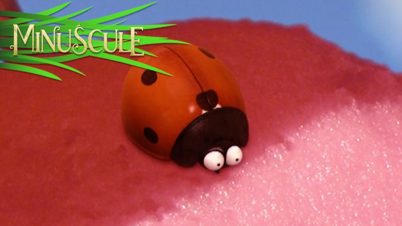 Minuscule - Nap Time / L'heure de la sieste (Season 1)