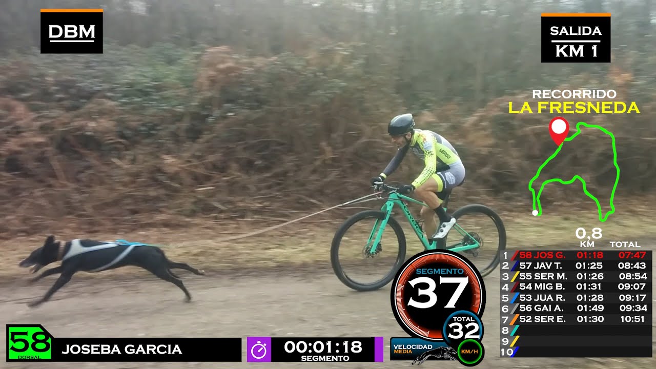 COPA ESPAÑA - MUSHING TIERRA - LA FRESNEDA 2019