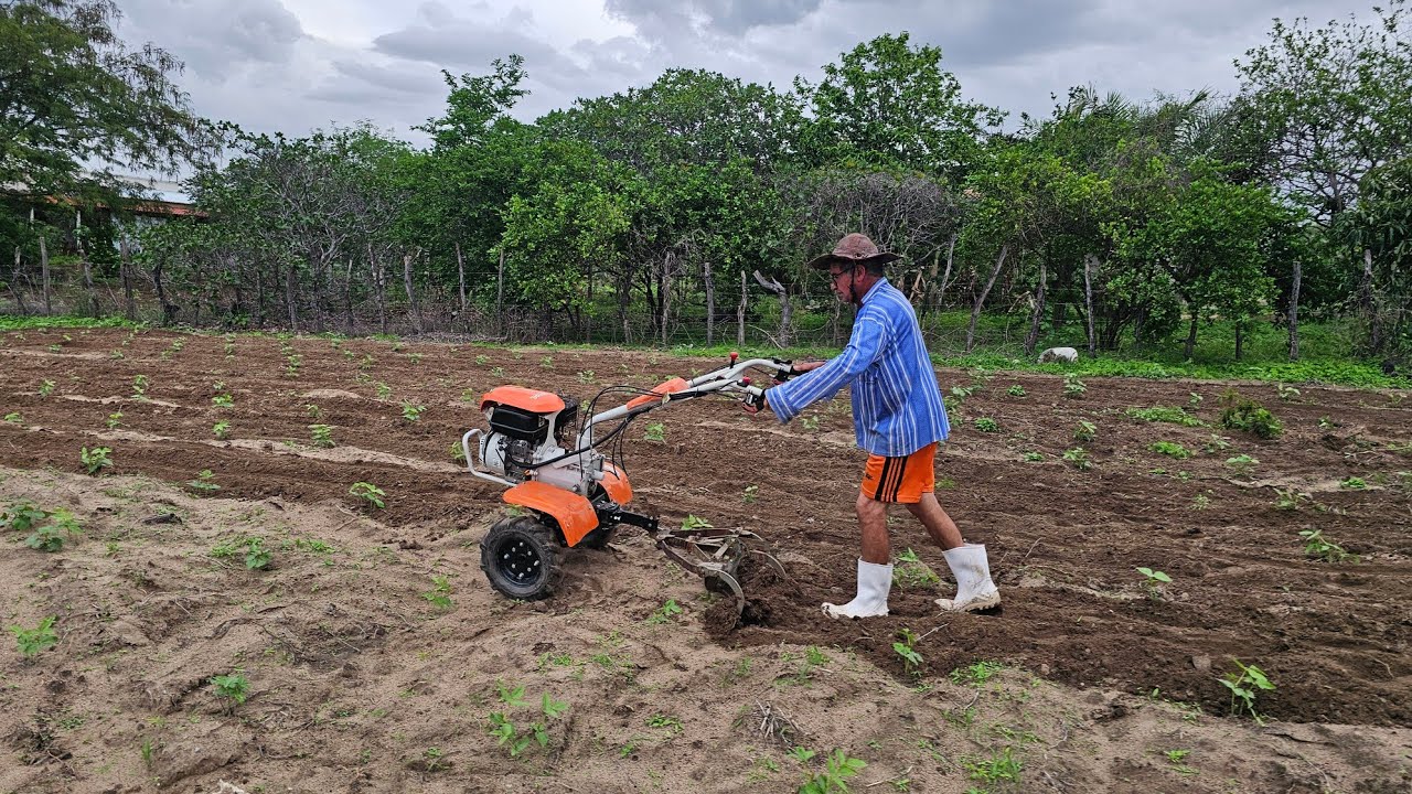 Cultivando terra com tratorito 