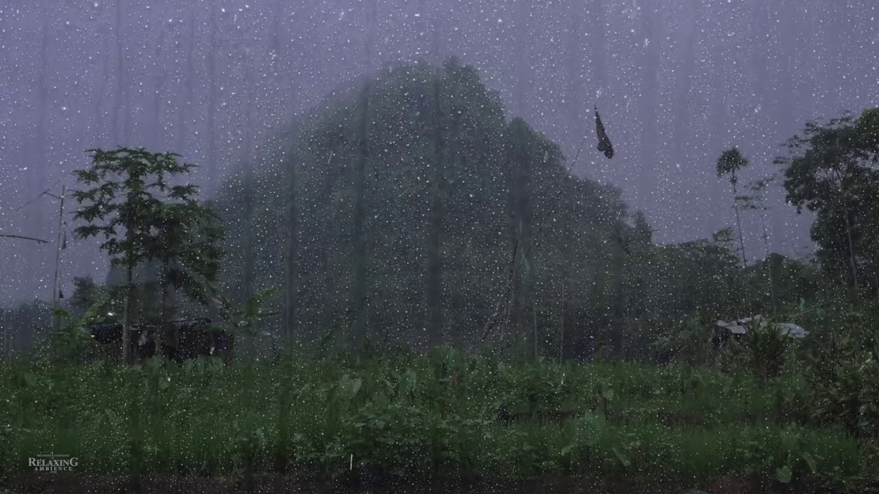 Real Rain & Thunder Sounds in Foggy Mountain | Help with Sleep, Insomnia, PTSD