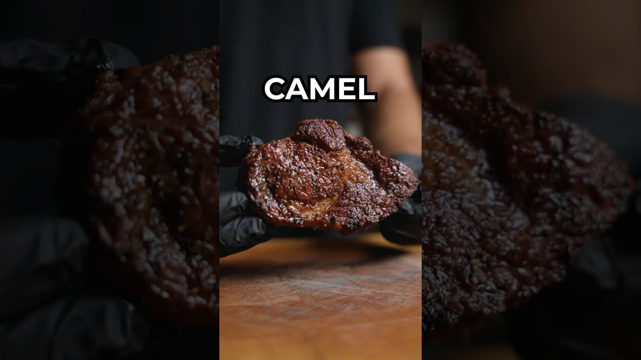 Dry Aged Camel