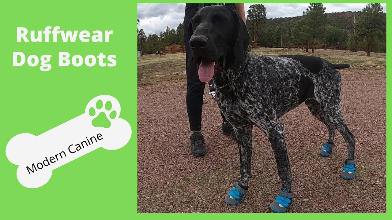 Ruffwear Grip Trex Dog Boots Reviewed