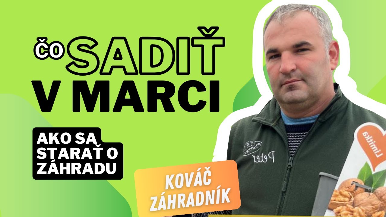 Čo sadiť v marci a ako sa starať o záhradu