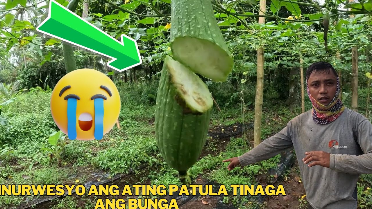 HINDI NA HAGIP NG CAMERA NATIN