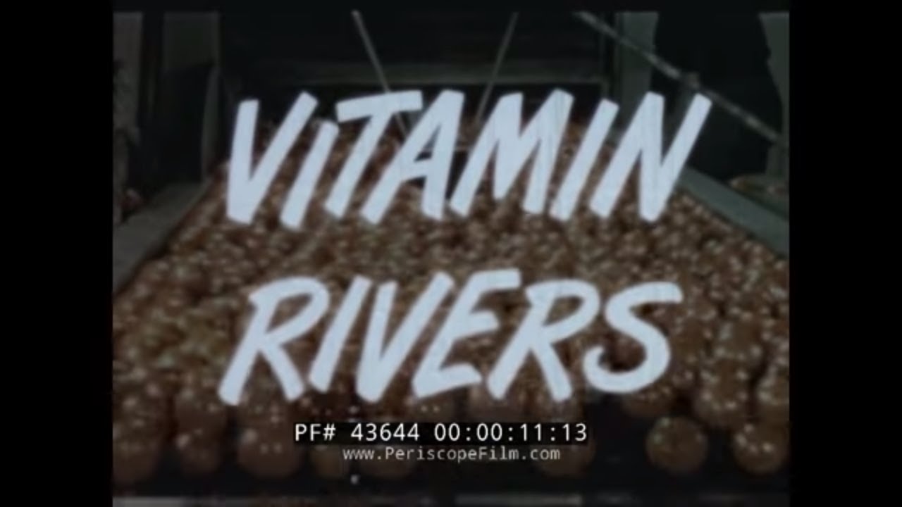 FRUIT & VEGETABLE JUICE 1950s  AMERICAN CAN COMPANY PROMOTIONAL FILM 43644