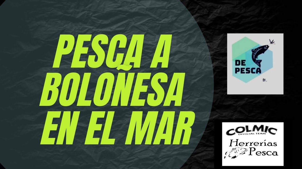 ⚠️BOLOÑESA en el MAR⚠️ con ASTICOT PESCA con BOYA jornada INTRESANTE💪🐟🐟🐟🐟