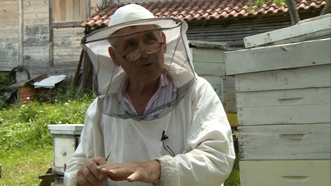 PRIMJENA FOLIJE U PCELARSTVU