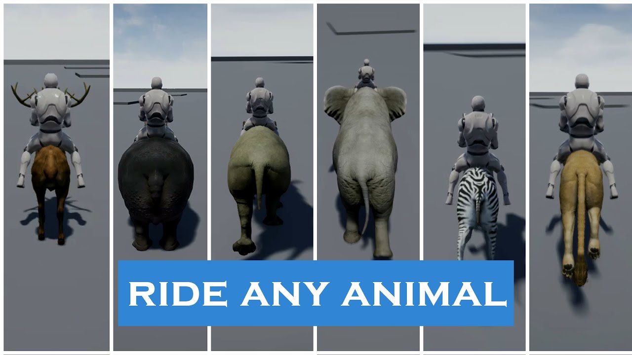 Ride any animal in Unreal Engine (Part-2)