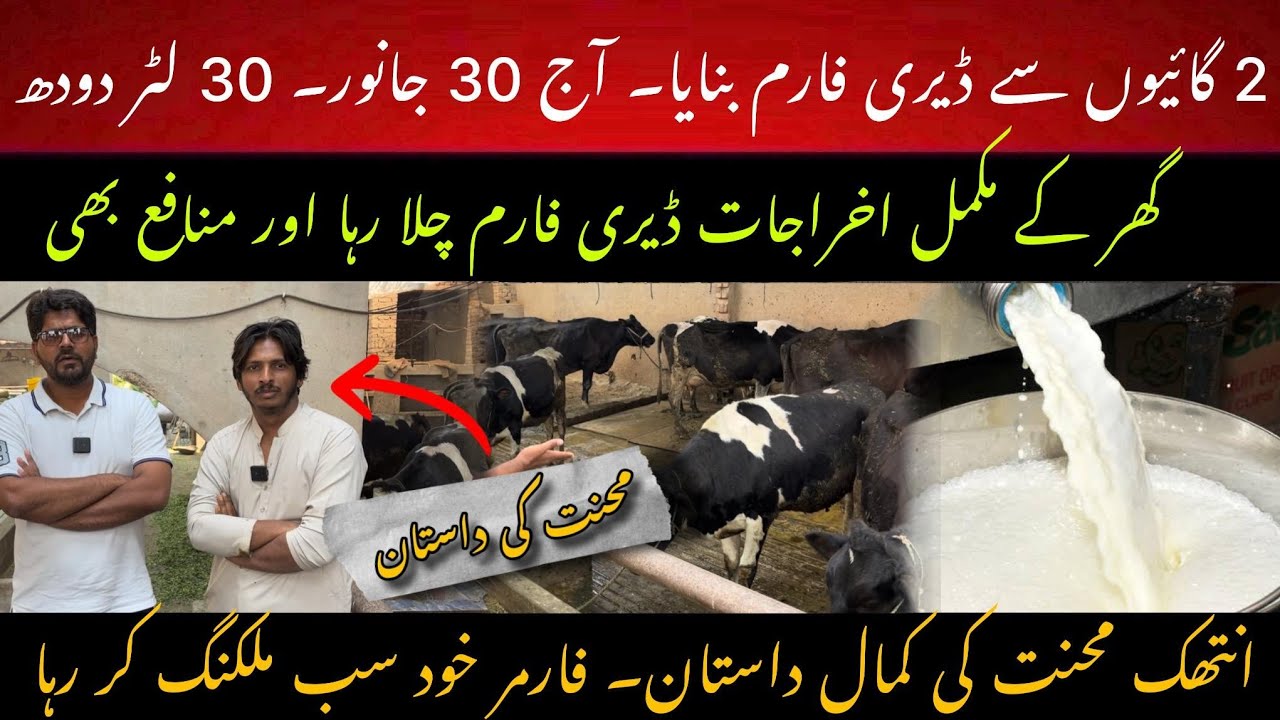 Dairy farm success story 2025 II Guidelines for successful farming II Best small scale farming
