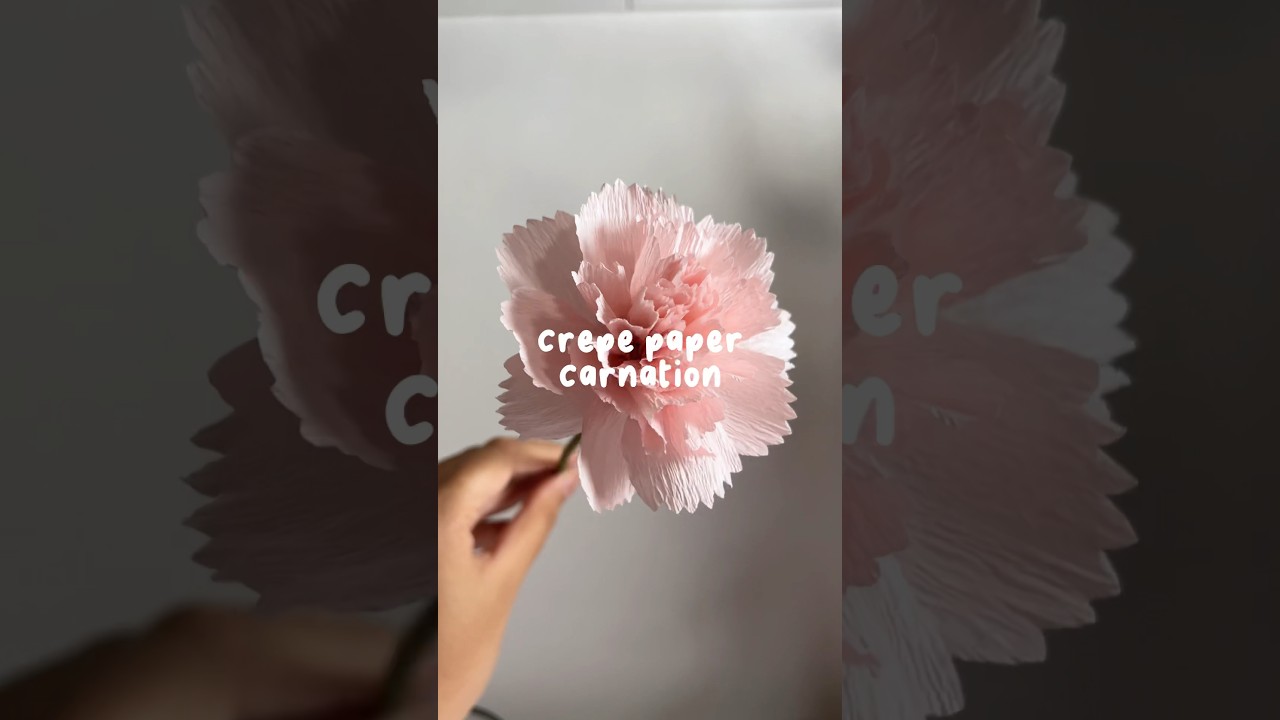 crepe paper flower tutorial: carnation #paperflowers #papercraft