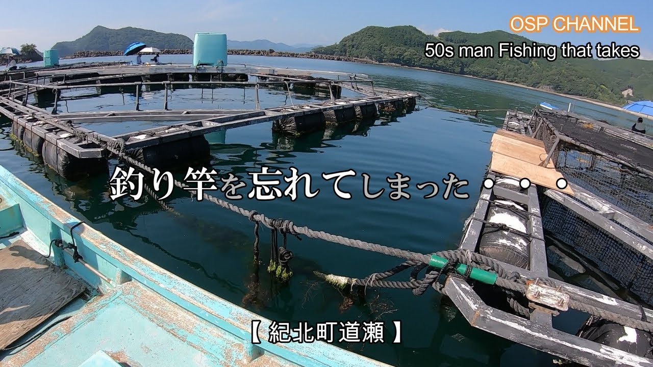 【かかり釣り】これが王道のOSP動画！(笑)色々、やらかしております。本人は至って真面目に釣りをしております。(汗)どうぞ！ご視聴下さい。