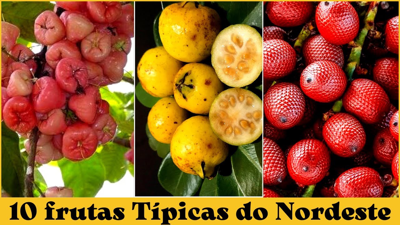 10 frutas T&iacute;picas do Nordeste que Talvez voc&ecirc; n&atilde;o conhe&ccedil;a 🔴Curiosidades das Frutas🔴