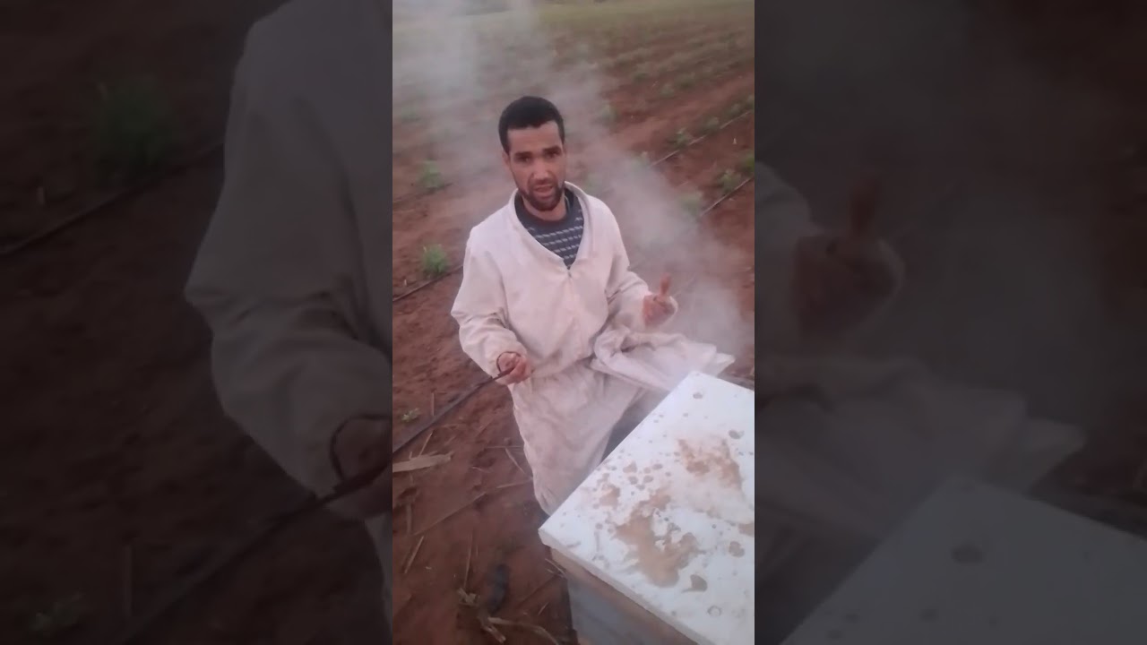 شروط رفع العسالة