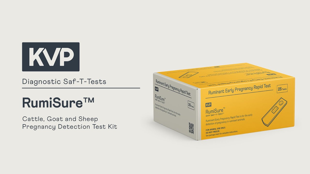 KVP RumiSure | Ruminant Pregnancy Rapid Test Kit for Cattle Goats and Sheep