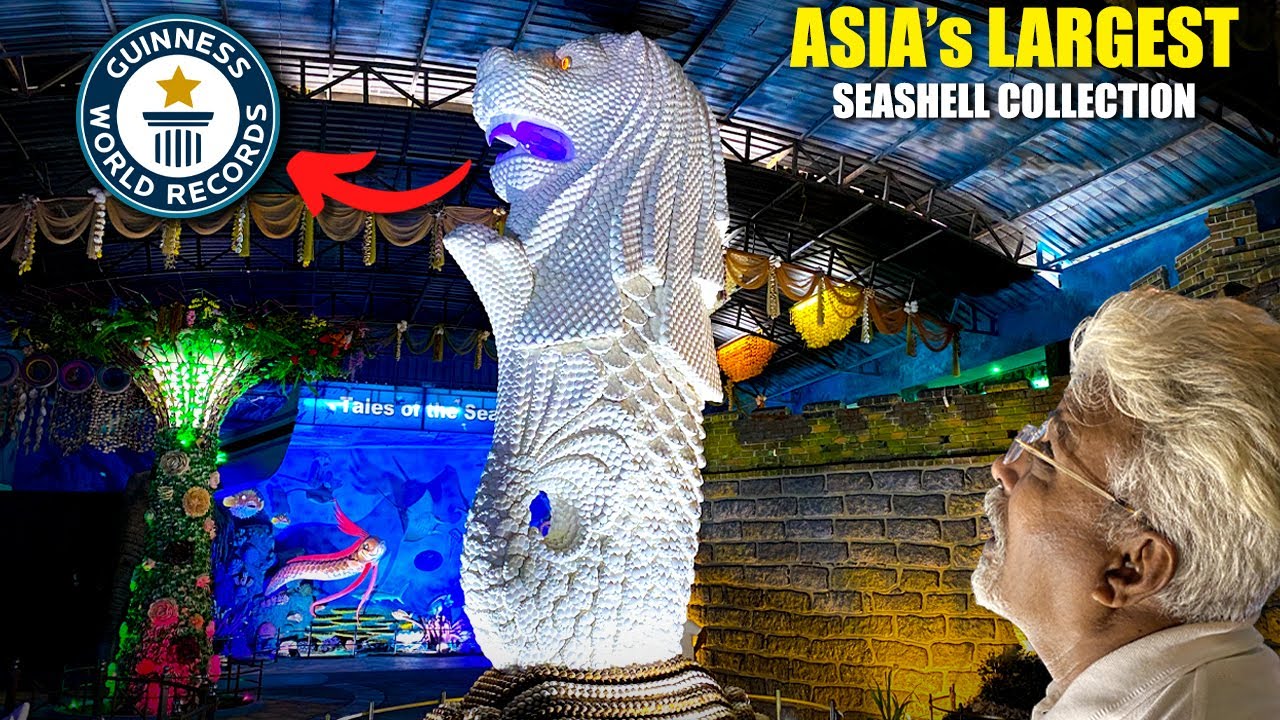 Mini Singapore in Mahabalipuram 😍| India's 1st Seashell Museum! 🔥