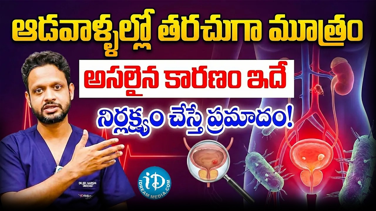 Urinary Tract Infections (UTI) Overview | Causes, Risk Factors, Symptoms, Diagnosis, Treatment