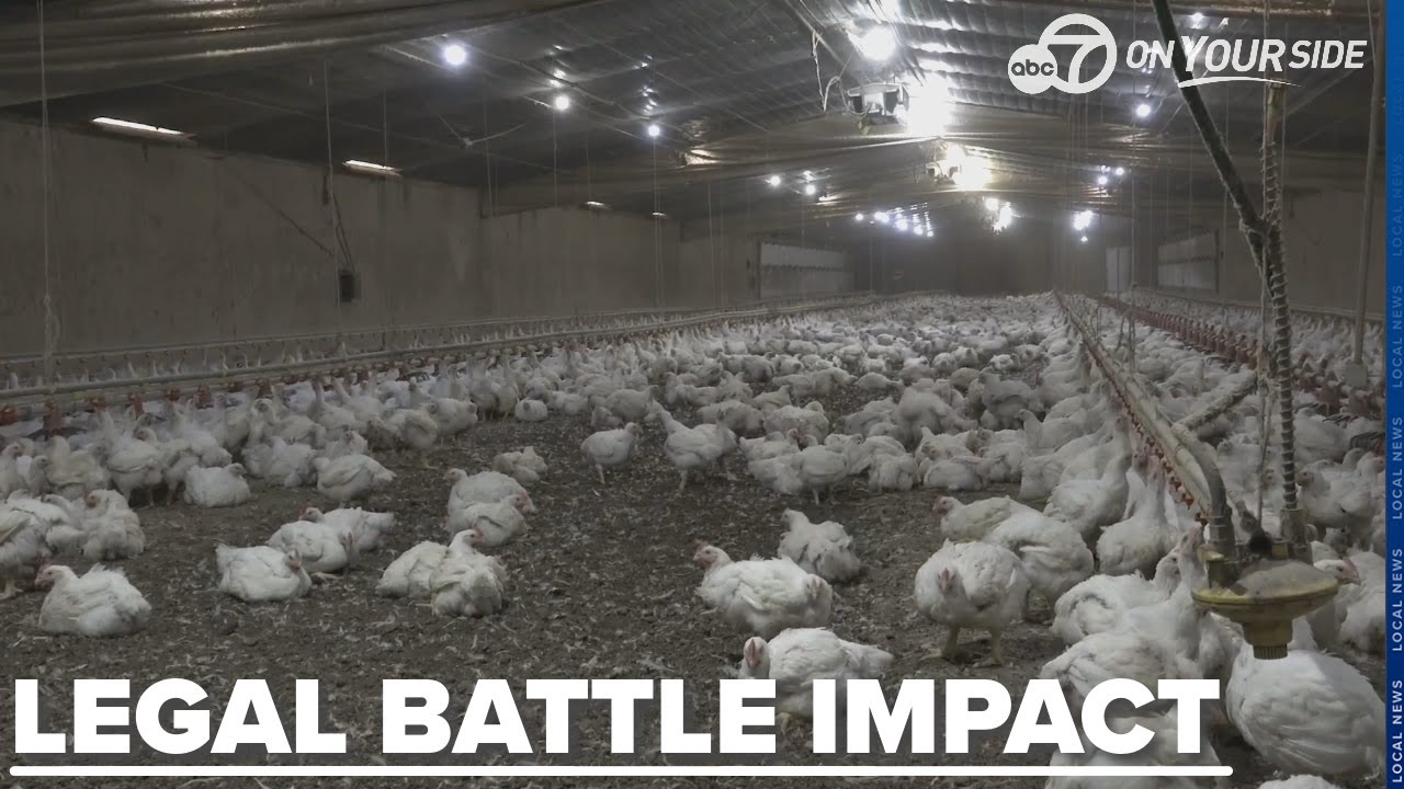 Oklahoma lawsuit victory may mean end of many poultry farms in Northwest Arkansas