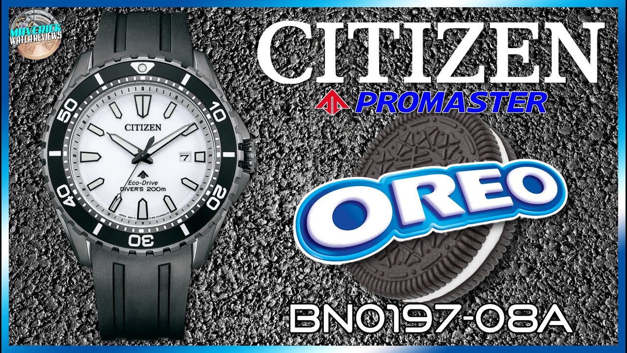 My Favorite New Watch! | Citizen Promaster 