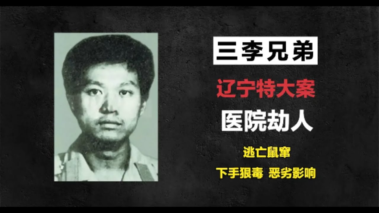 辽宁特大案—三李兄弟
