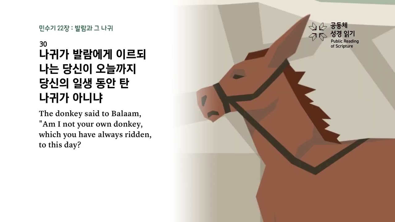 1년1독을 위한 프로젝트 36회차 민수기 21-23장