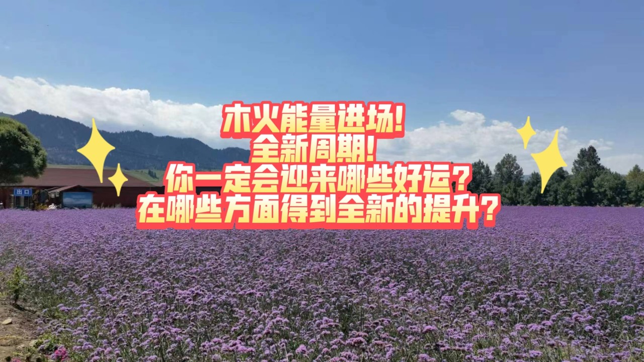 木火能量进场！全新周期！你一定会迎来哪些好运？在哪些方面得到全新的提升？(不限时空)