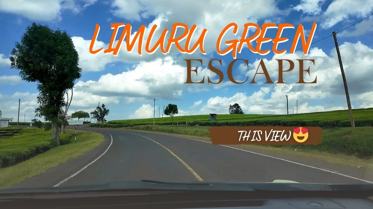 Peaceful Drive Through Limuru Green Fields from Ruaka | Kenya Countryside