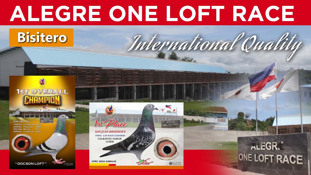 ALEGRE ONE LOFT RACE International Quality!