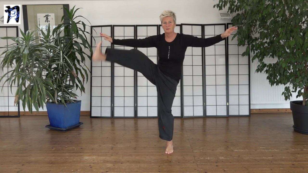 The Taoist movements in a flow. Die taoistischen Gesundheitsübungen - im Flow