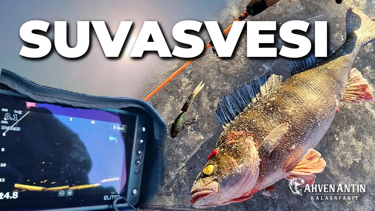 SUVASVESI | LAIKULTA KALASTUS - LIVELUOTAIN | Finnish Fisherman & Kalastusopas Ahven Antti