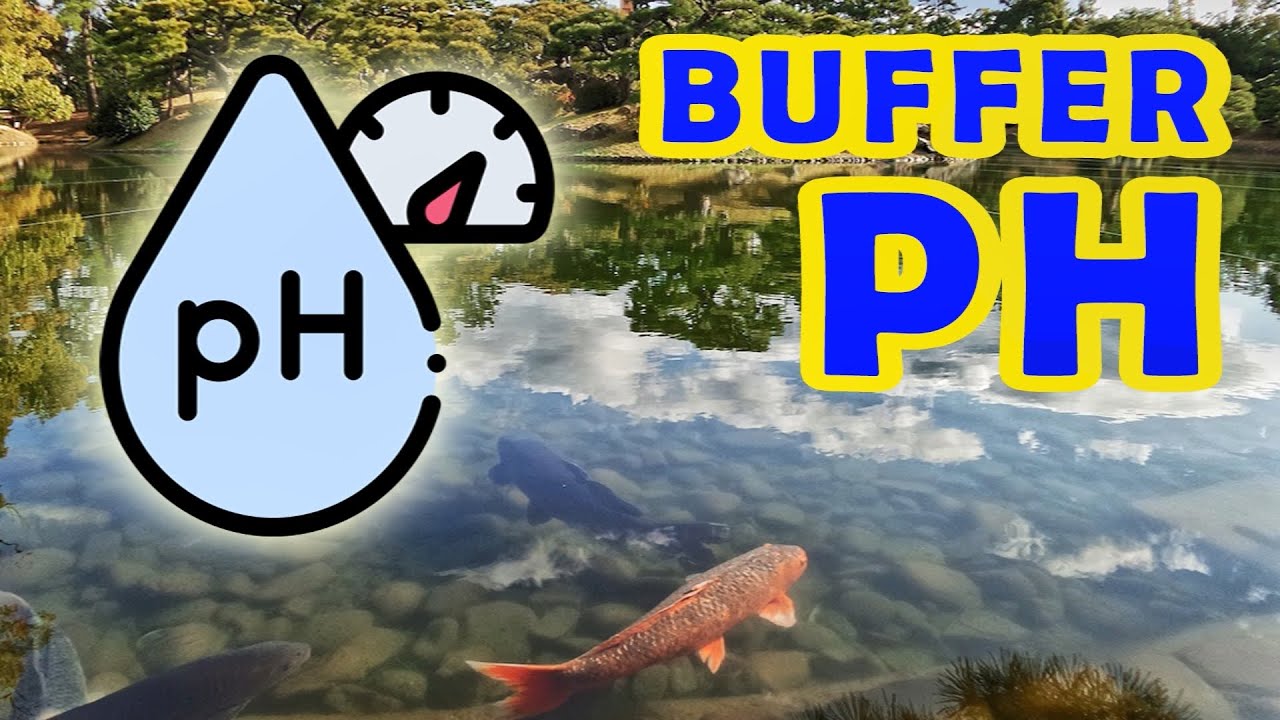 Buffer PH