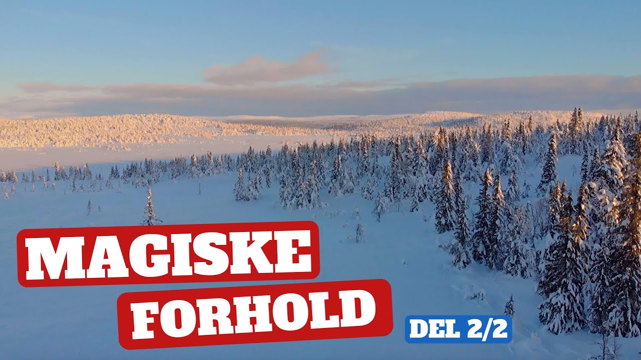 Friluftsliv - Første vintertur for sesongen gikk til Sjusjøen ved Kroksjøen, Del 2/2