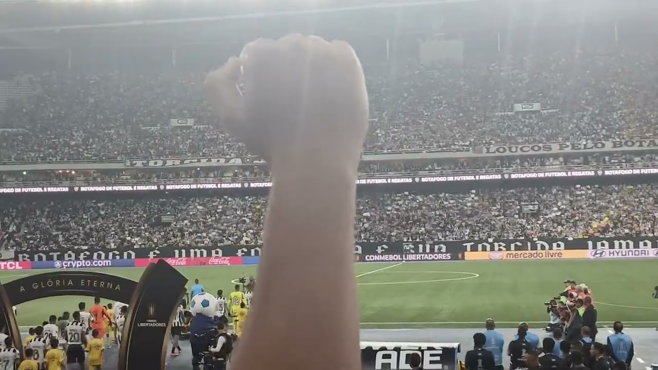 MELHOR MOSAICO ,FESTA DE 1 BATALHA VENCIDA DE BOTAFOGO 1X0 LDU NAS OITAVAS DE FINAIS DA LIBERTADORES