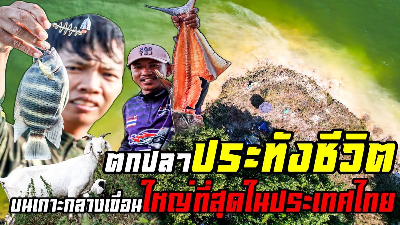 ตกปลาประทังชีวิตบนเกาะกลางเขื่อนใหญ่ที่สุดในประเทศไทย (หน้าดิน)