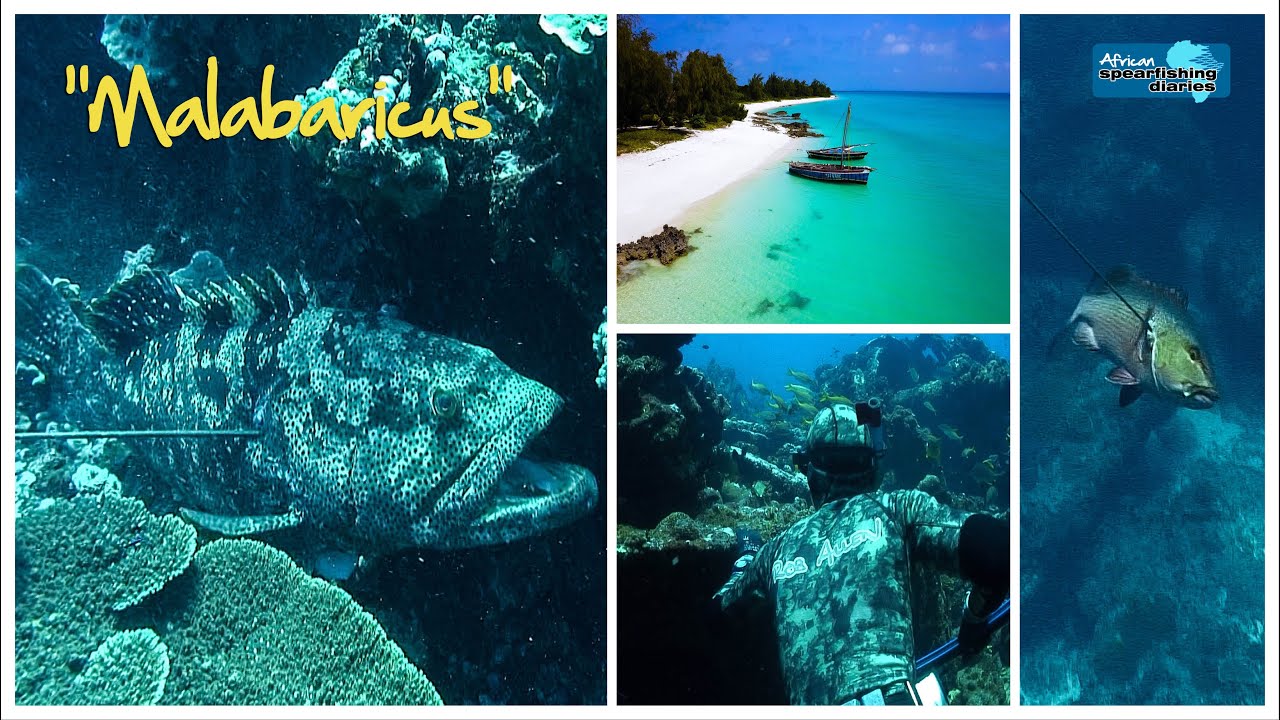 Spearfishing Mozambique - ASD 