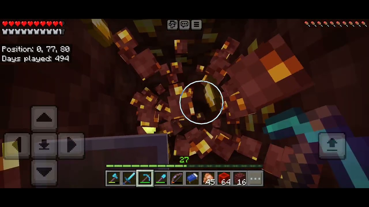 minecraft survival day 495