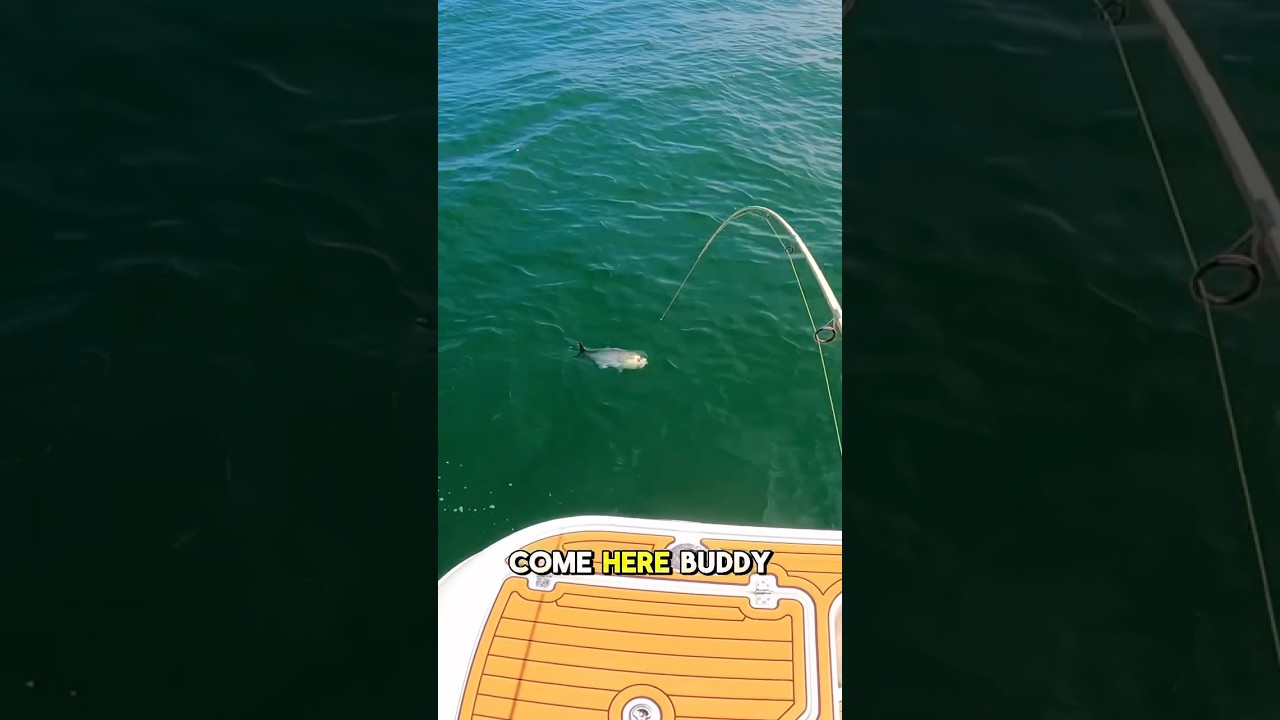 The FISH That Got AWAY! 🎣