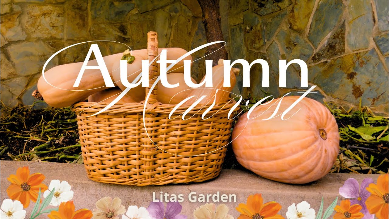 Pumpkin Soup in Late Autumn 🍂 |  Slow Living in my My Mediterranean Garden