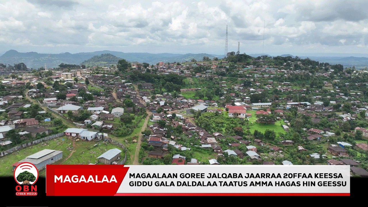 Magaalaa  jalqaba Jaarraa 20ffaa keessa  giddu gala daldalaa taatee kana beektuu?