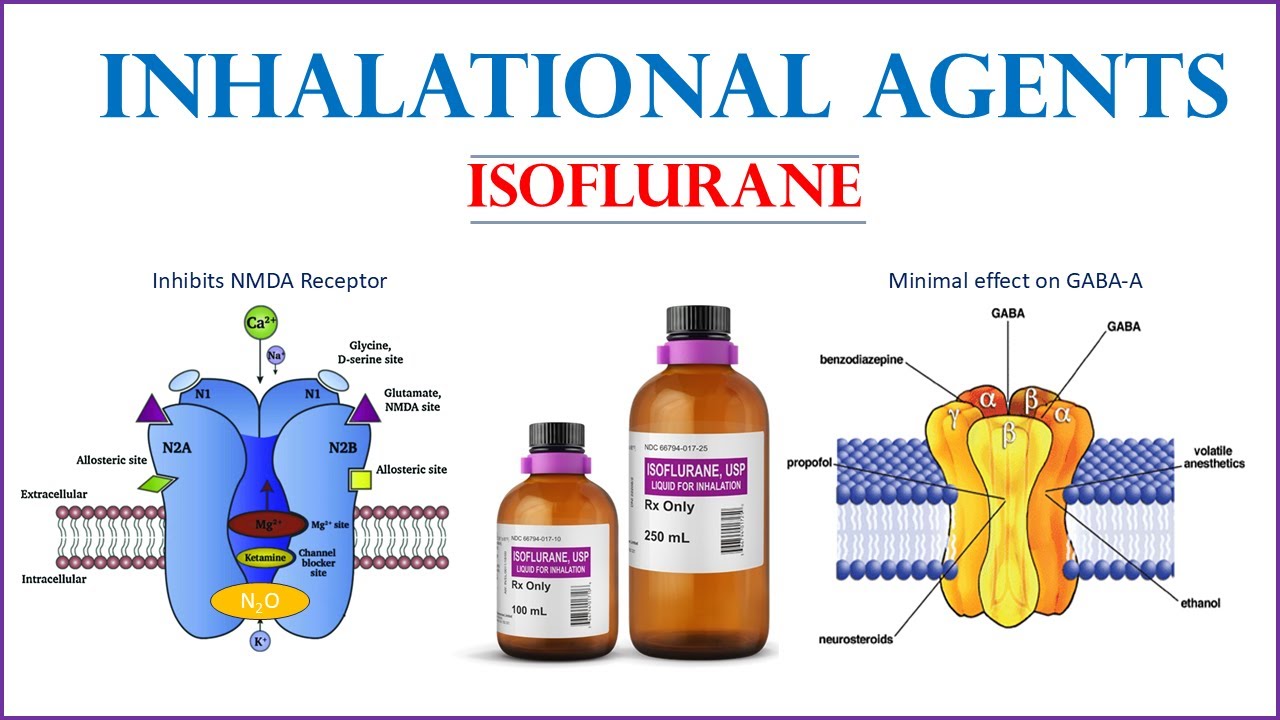 ISOFLURANE (Volatile anesthetics)
