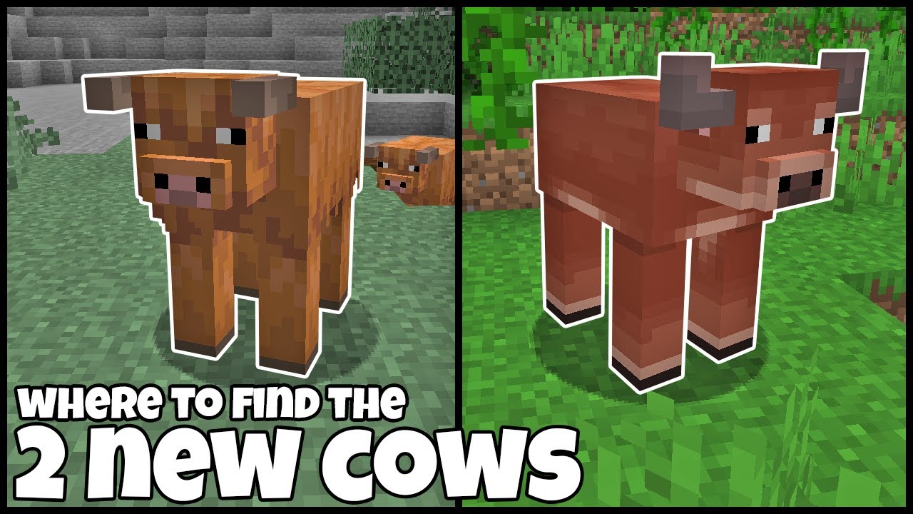 Where To Find WARM COW & COLD COW In MINECRAFT