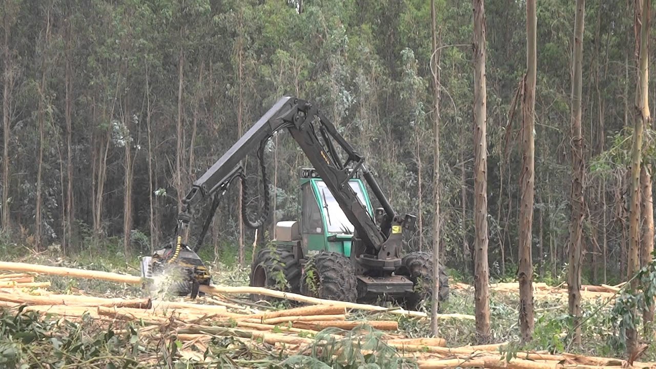 Harvester Prosilva 810 - Kesla 25RH
