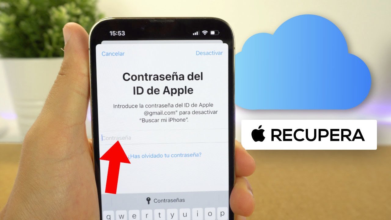 Я ЗАБЫЛ свой пароль от iCloud, вот как вы можете его ВОССТАНОВИТЬ 👈