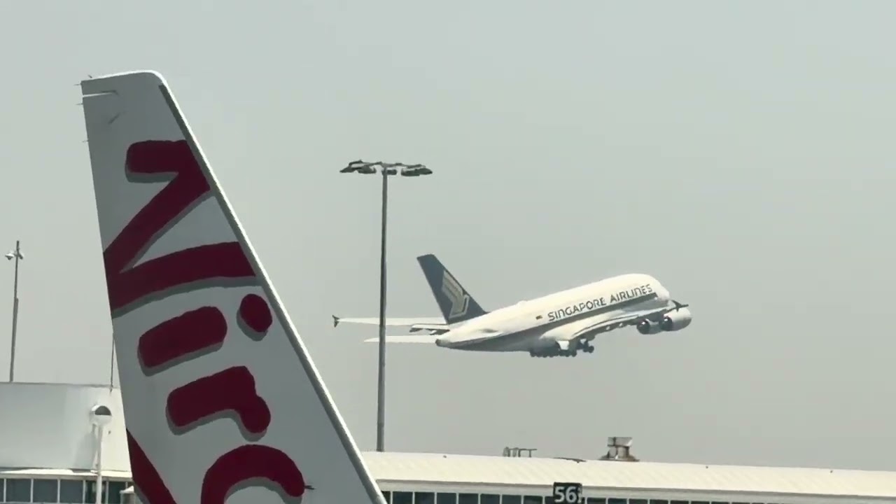 PLANES SPOTTING TAKES OFF FROM SYDNEY AIRPORT IN DAY AND EVENING.