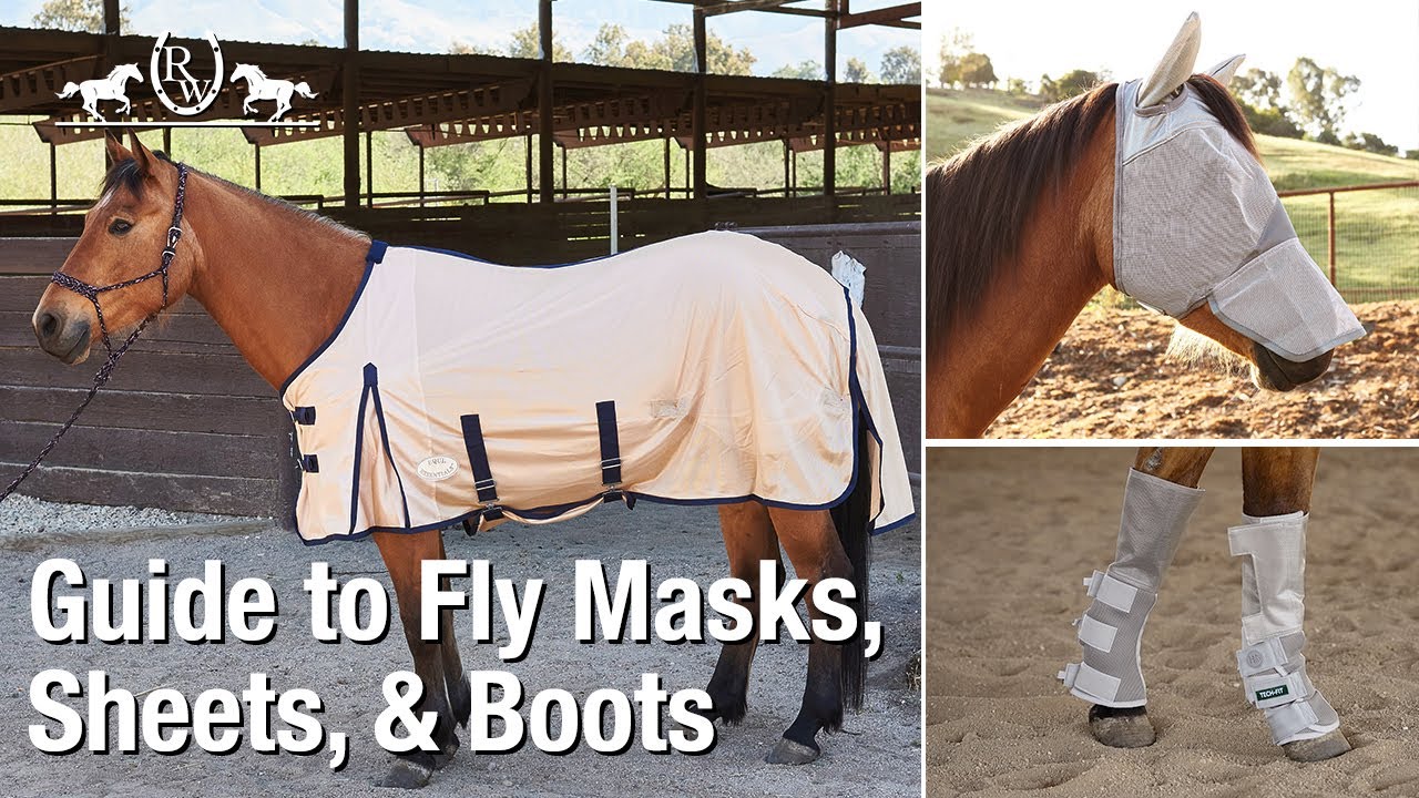 Guide to Horse Fly Masks, Sheets, & Boots