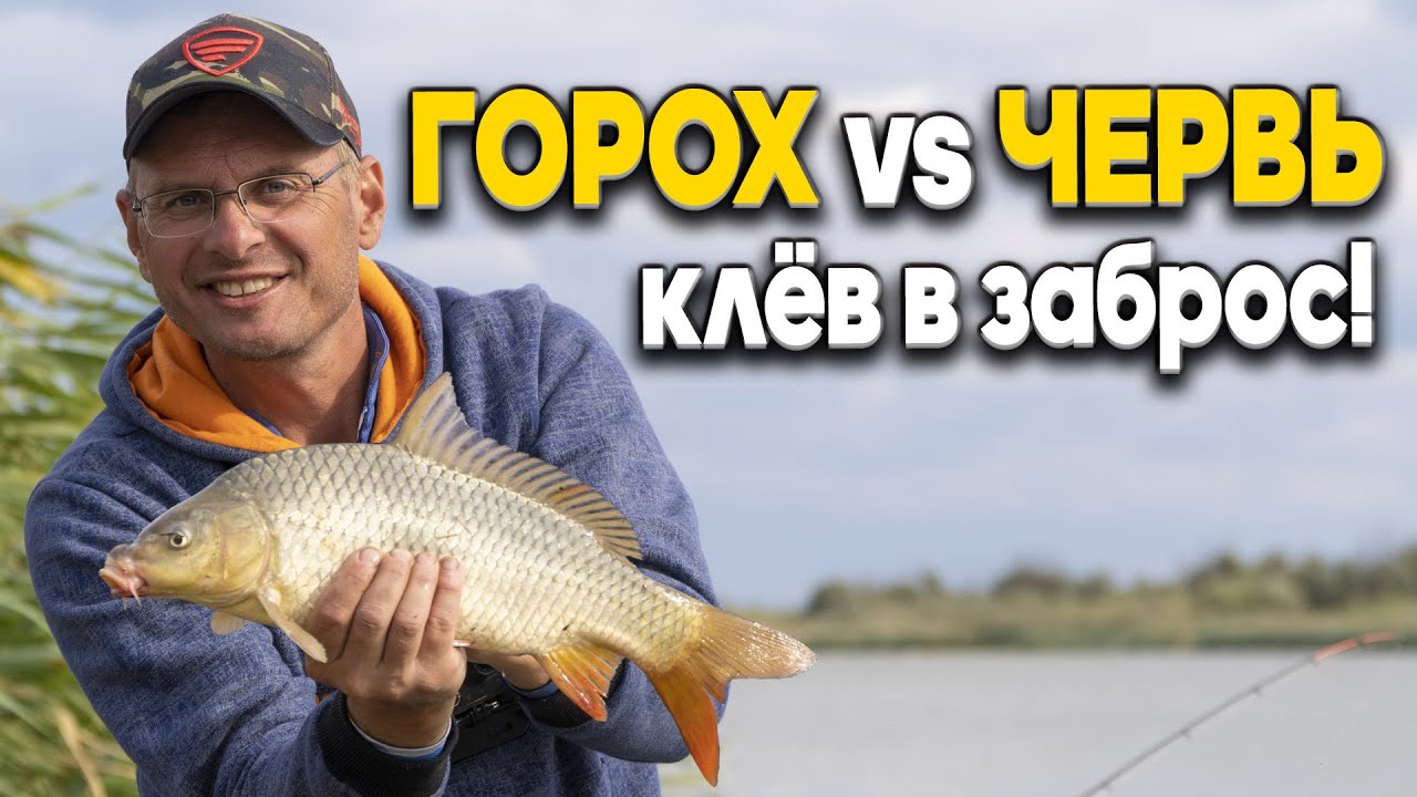 Горох или червь? Дядя Фёдор нашёл лучшую насадку для Дуная!