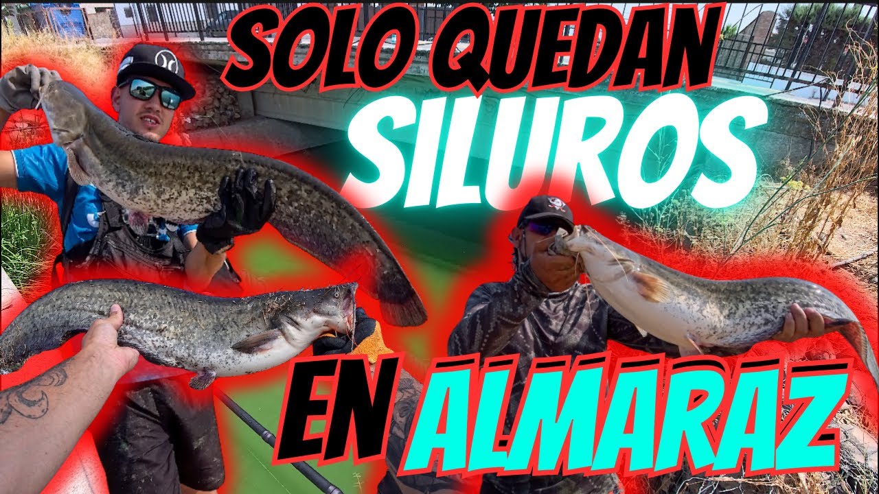 EN ALMARAZ SOLO QUEDAN SILUROS 😱